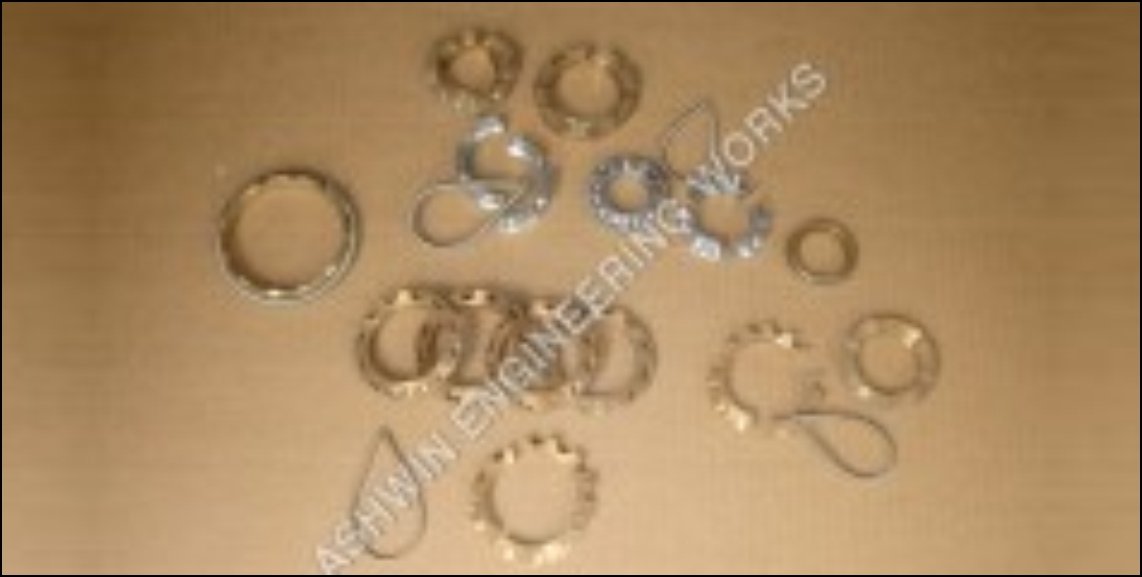 OFD Oil Wiper Ring